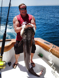 Atlantic Sailfish fishing in NC