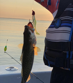 A spotted weakfish caught in Manns Harbor while fishing