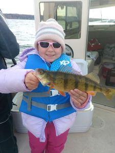 A fisherman with an American Yellow Perch in NY