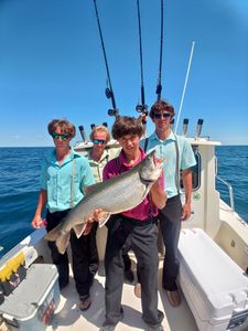 Large lake trout caught in Henderson