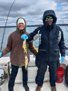Photograph of a 10-inch American Yellow Perch caught while fishing in Henderson