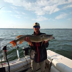 Northern Pike, 33 inches long, fishing in NY