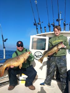 Two grass carp fishing in Henderson