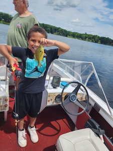 Bluegill fish caught during a fishing tour in Hale