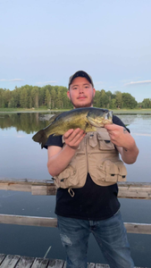 Largemouth Bass caught on fishing tour in Michigan
