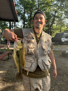 Largemouth Bass, a great catch in MI