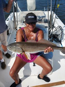 Angler catches a great fish in NC