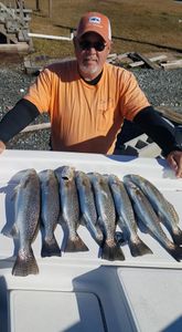 5 spotted weakfish caught while fishing in NC