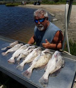 Two fish caught fishing at North Topsail Beach