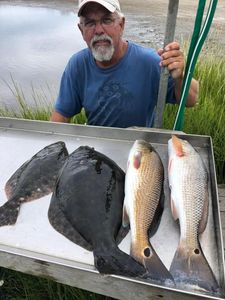 Four southern flounder caught at North Topsail Beach