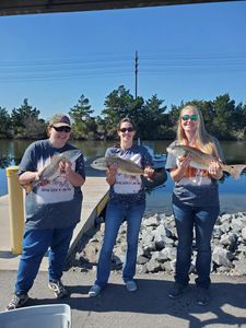 Three redfish caught on a fishing trip at North Topsail Beach