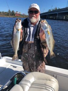Two spotted weakfish, 17 inches long, caught at North Topsail Beach, North Carolina