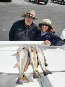 3 redfish caught in NC while fishing