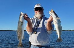 Two spotted weakfish caught in North Topsail Beach