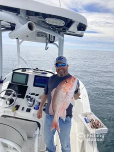 Catching dinner in style