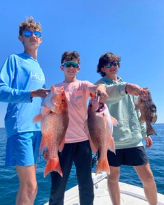 Three grey snapper and red grouper caught by anglers in Port St. Joe