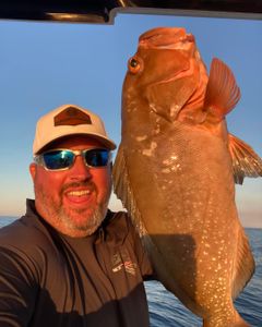One angler fishing at Port St. Joe