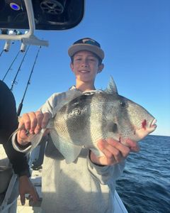 Fishing adventure at Port St. Joe