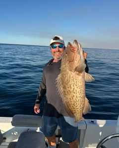 Gag grouper fish caught in FL