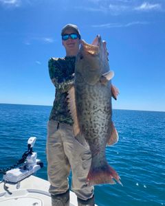 Gag grouper caught in Port St. Joe
