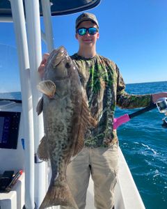 One gag grouper caught while fishing in Port St. Joe