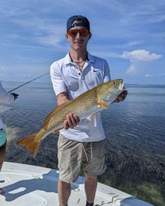 Angler with a big fish caught in Port St. Joe