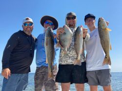 Redfish and Grey Triggerfish caught in Port St. Joe
