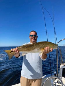 Redfish caught while fishing in FL