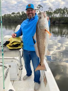 Redfish caught while fishing in Port St. Joe