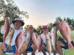 8 redfish caught in Port St. Joe