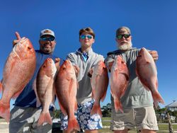 6 fishing rods with a scenic coastal background in Port St. Joe