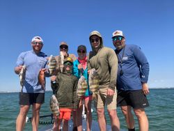 6 sheepshead fish caught while fishing in FL