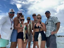 Three Redfish, 12-inch fish caught while fishing in Port St. Joe