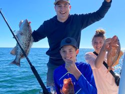 Two gag grouper fish caught in Port St. Joe