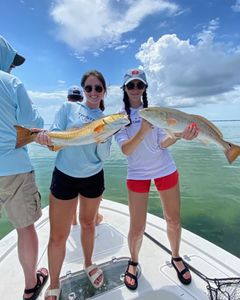 Two redfish, 24 inches caught in Port St. Joe