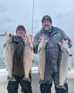 A group of 4 rainbow trout and Atlantic salmon caught while fishing in NY
