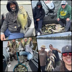 Three crappie fish caught in Crandon
