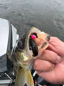 Fishing trip at Crandon