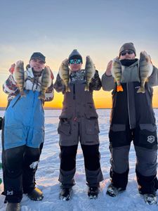 Fishing trip with 5 fish caught in WI