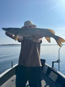 Northern Pike fishing in WI