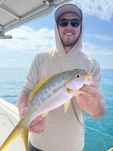 A person enjoying water sports in Florida