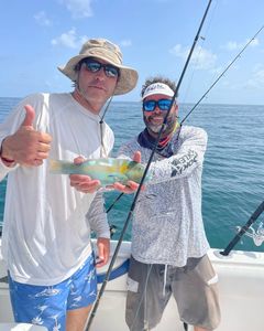 A fishing adventure in FL