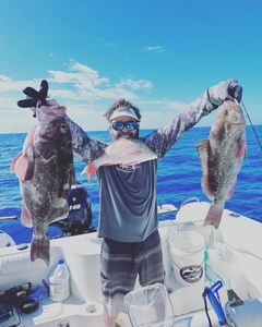 3 fish caught on FL cruises and tours