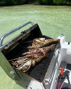 Fishing in Islamorada