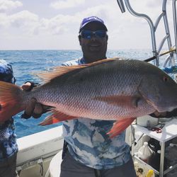 Mutton snapper caught while fishing in Islamorada
