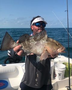 Red Grouper fish caught during cruises, tours, and water sports in FL