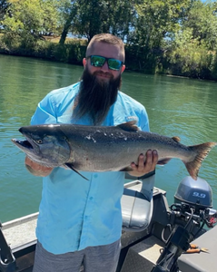 Photo of a 27-inch Chinook Salmon caught while fishing in Corning