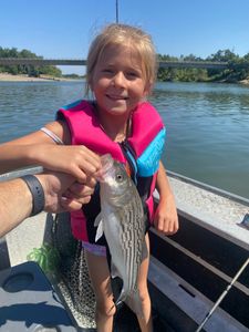 Striped bass caught in Corning
