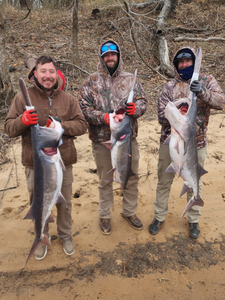 3 blue catfish caught in OK during fishing