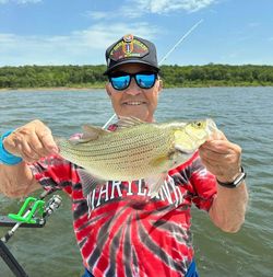 Angler holding a 15-inch white bass in Wagoner